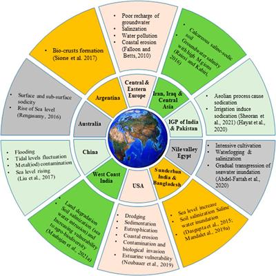 Assessing soil quality for rehabilitation of salt-affected agroecosystem: A comprehensive review